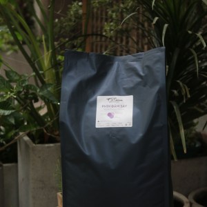 ROBUSTA </br> Cà Phê Truyền Thống | 5kg </br> [Liên hệ 0912.733.763]